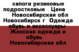 сапоги резиновые подростковые › Цена ­ 799 - Новосибирская обл., Новосибирск г. Одежда, обувь и аксессуары » Женская одежда и обувь   . Новосибирская обл.